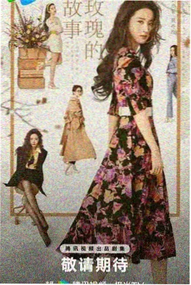 四姑娘山标本照片
