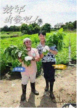 桌山标本照片